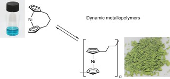 Main-chain metallopolymers at the static–dynamic boundary based on nickelocene