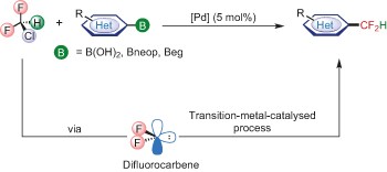 Chlorodifluoromethane-triggered formation of difluoromethylated arenes catalysed by palladium