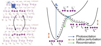 Coherent ultrafast lattice-directed reaction dynamics of triiodide anion photodissociation