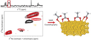 The structure and binding mode of citrate in the stabilization of gold nanoparticles