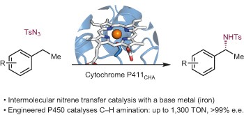 Enantioselective, intermolecular benzylic C–H amination catalysed by an engineered iron-haem enzyme