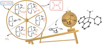 A new and selective cycle for dehydrogenation of linear and cyclic alkanes under mild conditions using a base metal