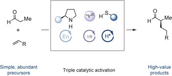 Direct, enantioselective α-alkylation of aldehydes using simple olefins