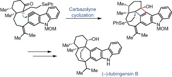 Total synthesis of (–)-tubingensin B enabled by the strategic use of an aryne cyclization