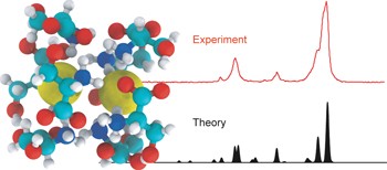 Infrared spectrum and structure of the homochiral serine octamer–dichloride complex