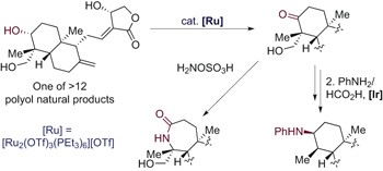 Site-selective oxidation, amination and epimerization reactions of complex polyols enabled by transfer hydrogenation