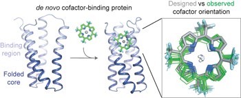 <i>De novo</i> design of a hyperstable non-natural protein–ligand complex with sub-Å accuracy