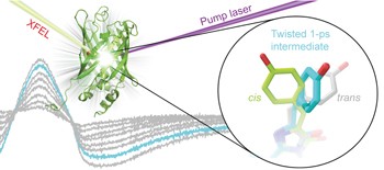 Chromophore twisting in the excited state of a photoswitchable fluorescent protein captured by time-resolved serial femtosecond crystallography