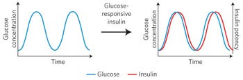 Glucose-responsive insulin by molecular and physical design