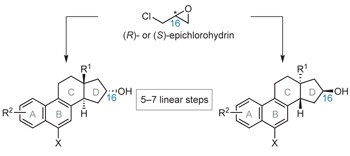 Synthetic <i>nat-</i> or <i>ent-</i>steroids in as few as five chemical steps from epichlorohydrin