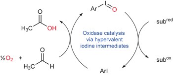 Oxidase catalysis via aerobically generated hypervalent iodine intermediates