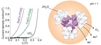 Polyoxometalate electrocatalysts based on earth-abundant metals for efficient water oxidation in acidic media