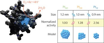 Size-specific catalytic activity of platinum clusters enhances oxygen reduction reactions
