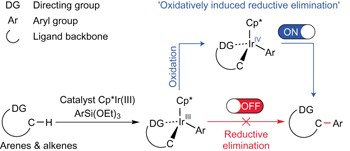 Iridium-catalysed arylation of C–H bonds enabled by oxidatively induced reductive elimination