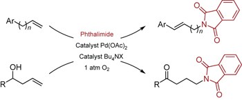Palladium-catalysed <i>anti-</i>Markovnikov selective oxidative amination