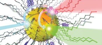 Thermally activated delayed photoluminescence from pyrenyl-functionalized CdSe quantum dots