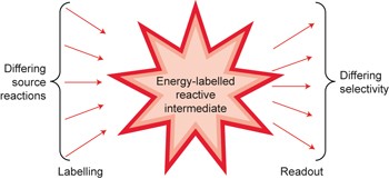 Labelling and determination of the energy in reactive intermediates in solution enabled by energy-dependent reaction selectivity