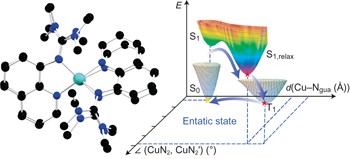 Transferring the entatic-state principle to copper photochemistry