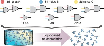 Engineered modular biomaterial logic gates for environmentally triggered therapeutic delivery