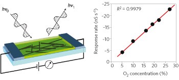 Decorated carbon nanotubes with unique oxygen sensitivity
