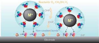 The role of non-covalent interactions in electrocatalytic fuel-cell reactions on platinum