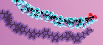 Functional end groups for polymers prepared using ring-opening metathesis polymerization