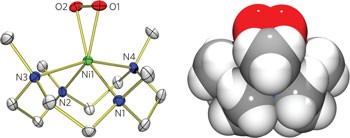 Geometric and electronic structure and reactivity of a mononuclear ‘side-on’ nickel(<span class="small-caps u-small-caps">iii</span>)–peroxo complex