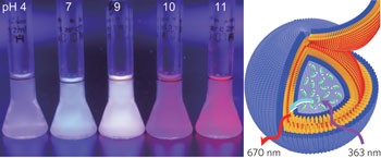 Vesicular perylene dye nanocapsules as supramolecular fluorescent pH sensor systems