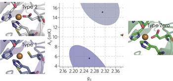 Type-zero copper proteins