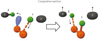 Cooperative molecular dynamics in surface reactions