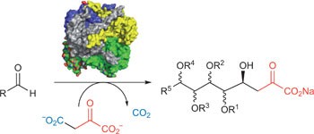 Chemoenzymatic synthesis of differentially protected 3-deoxysugars