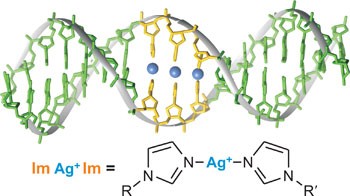 Solution structure of a DNA double helix with consecutive metal-mediated base pairs