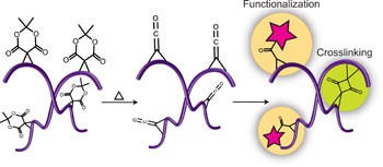 A facile route to ketene-functionalized polymers for general materials applications