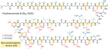 Total synthesis of the large non-ribosomal peptide polytheonamide B