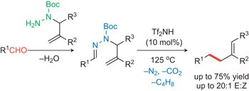 Triflimide-catalysed sigmatropic rearrangement of <i>N</i>-allylhydrazones as an example of a traceless bond construction