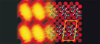 Charge-transfer-induced structural rearrangements at both sides of organic/metal interfaces