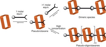 A ‘Texas-sized’ molecular box that forms an anion-induced supramolecular necklace