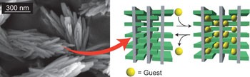 Rapid preparation of flexible porous coordination polymer nanocrystals with accelerated guest adsorption kinetics