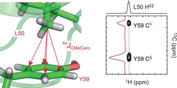 Direct detection of CH/<i>π</i> interactions in proteins