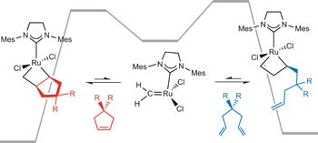 Mechanistic insights into the ruthenium-catalysed diene ring-closing metathesis reaction