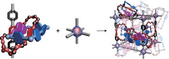 Robust dynamics