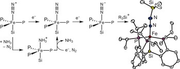 Triggering N<sub>2</sub> uptake via redox-induced expulsion of coordinated NH<sub>3</sub> and N<sub>2</sub> silylation at trigonal bipyramidal iron