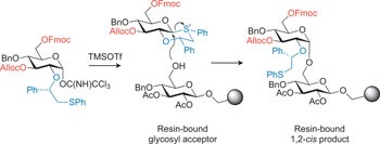 Chiral-auxiliary-mediated 1,2-<i>cis</i>-glycosylations for the solid-supported synthesis of a biologically important branched α-glucan