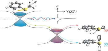 Experimental probing of conical intersection dynamics in the photodissociation of thioanisole