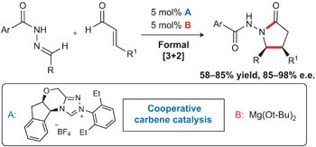 Cooperative catalysis by carbenes and Lewis acids in a highly stereoselective route to γ-lactams
