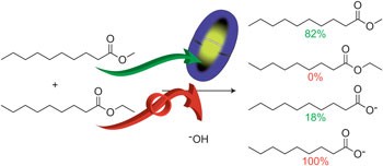 Kinetic resolution of constitutional isomers controlled by selective protection inside a supramolecular nanocapsule