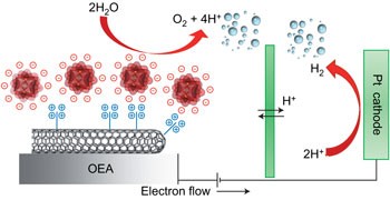 Efficient water oxidation at carbon nanotube–polyoxometalate electrocatalytic interfaces