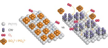 Enhanced electrocatalysis of the oxygen reduction reaction based on patterning of platinum surfaces with cyanide