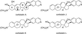 Synthesis of cortistatins A, J, K and L