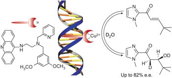 Catalytic enantioselective <i>syn</i> hydration of enones in water using a DNA-based catalyst